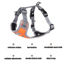 Load image into Gallery viewer, Breathable Mesh Dog Vest Harness
