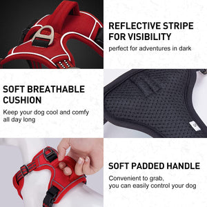 No Pull Dog Harness with 2 Metal Leash Clips