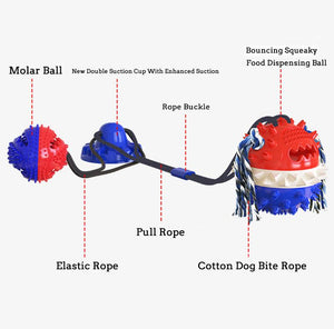 Suction Cup Dog Toy for Aggressive Chewers