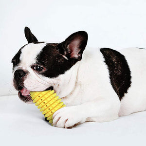 Dog Chew Toy-Rubber Corn Molar Stick