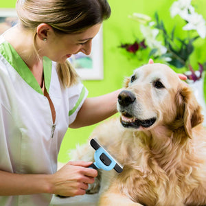 Pet Grooming Brush