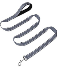Load image into Gallery viewer, Reflective Dog Leash-125cm
