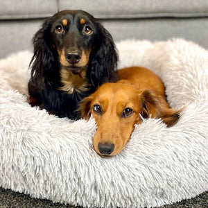 Calming Dog Bed UK-60% Off Today Only