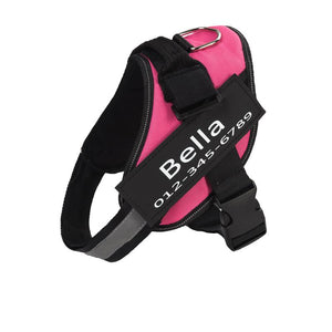 No-Pull Dog Harness UK-60% Off Today