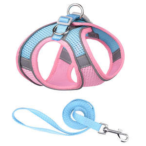 Breathable Mesh Step in Dog Harness