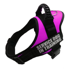 Load image into Gallery viewer, Nylon Adjustable Dog Harness
