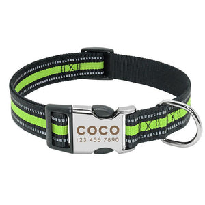 Personalized Dog Collars