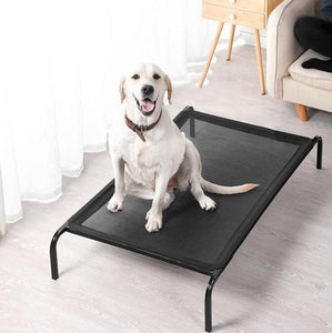 Elevated Dog Bed