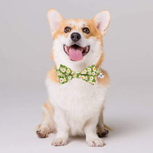 Load image into Gallery viewer, Cat Collar Breakaway with Bell and Bow Tie
